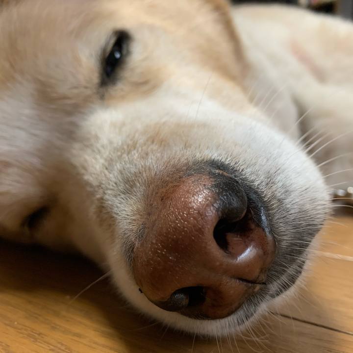 B46d52aa 4b24 470e 9d30 eb63b1dba0bc 1619672843985