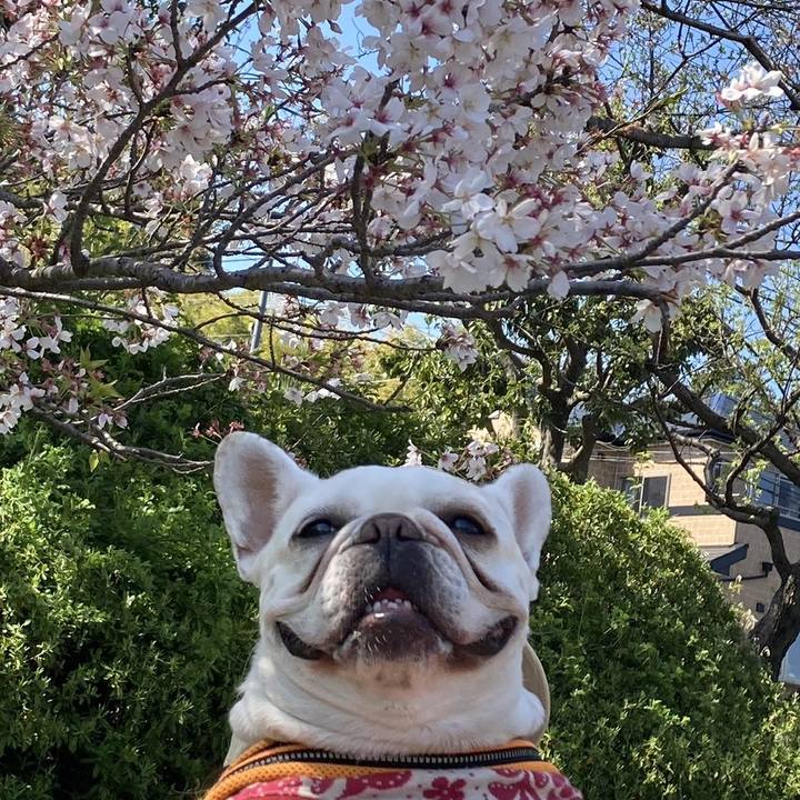 B46d5499 37d4 4f91 a69e 1cffef604a84 1712739619797