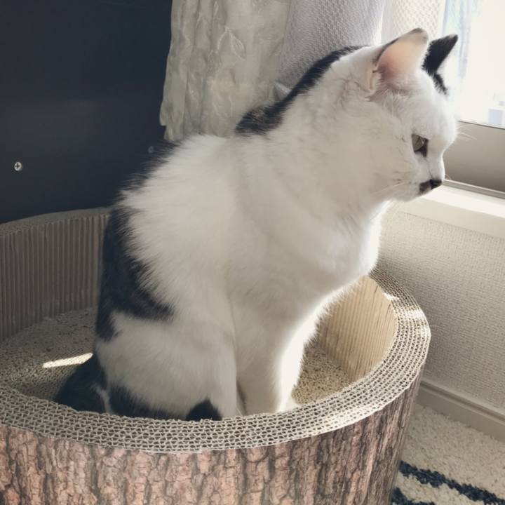 B46d6c7d c22a 46ac b672 2a7dbe273ee5 1541648660470