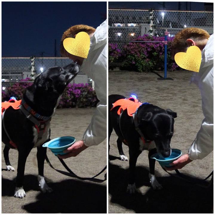 B46d9334 96ba 40f2 ae76 233c2e8fe4a8 1746701997730