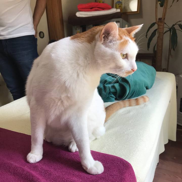 B46d9f3b 5fdc 4ef3 955a 138487539cae 1529669182773