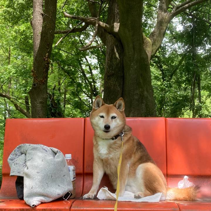 B46df4ba b2e8 491e 9440 deca5535c82e 1652259011466