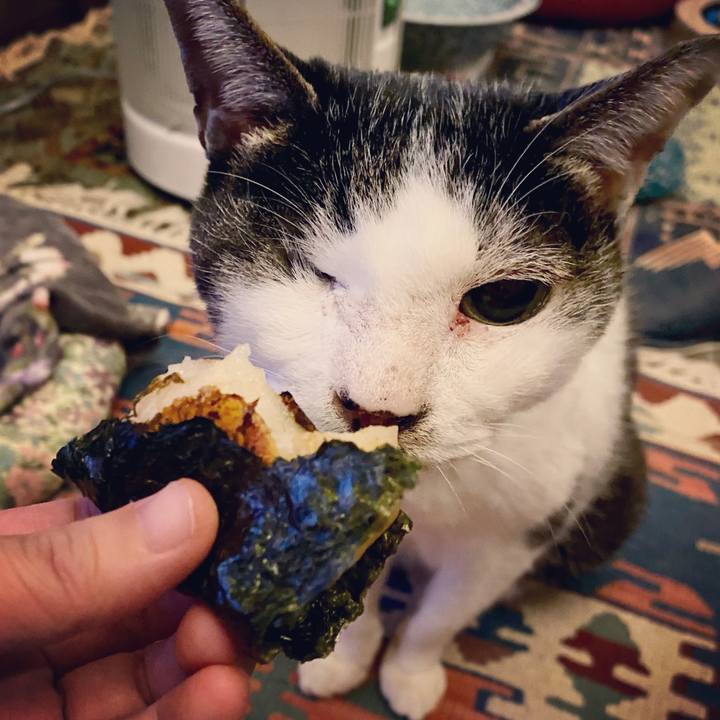 B46dfb35 c023 45bb b80f 5766aa7625ac 1608898662490