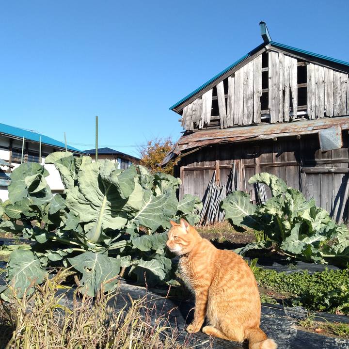 B46e35c9 92f9 4a38 ab62 44490e6fa926 1700551301876