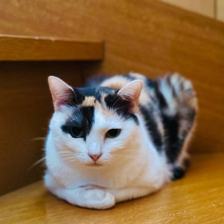 B46e77ca bd8b 4293 a7cb af8685e9a59c 1693097241857