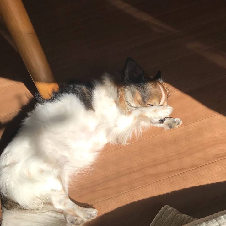 B46eaced da6d 41e0 8e13 fb1a837034fb 1574995031692