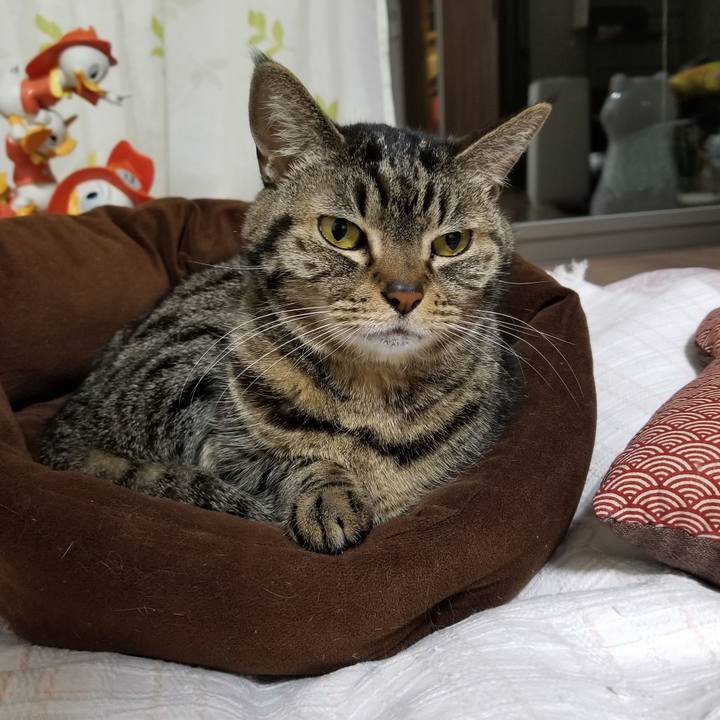 B46ec483 7ead 440d 98fe 685d692cdbca 1609448143378