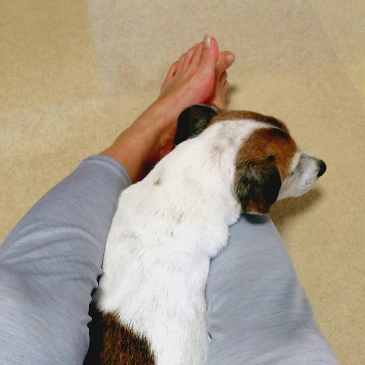 B46ee0e3 f5c6 4491 a2db 7fc519a25da2 1507631979025