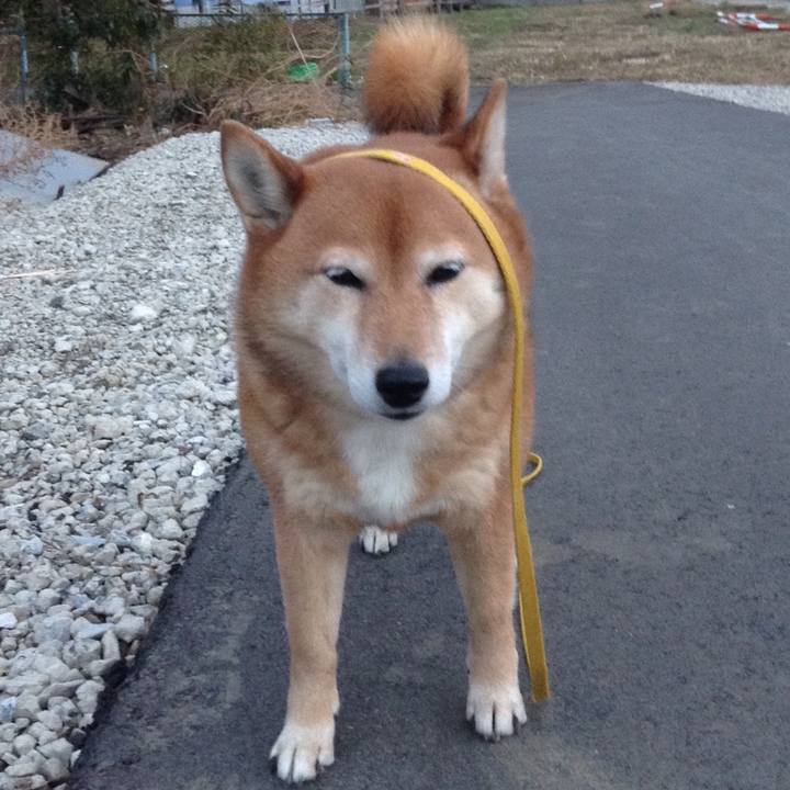 B46eeb95 2fdb 455a 97e5 4a05ffbe9367 1549788211219