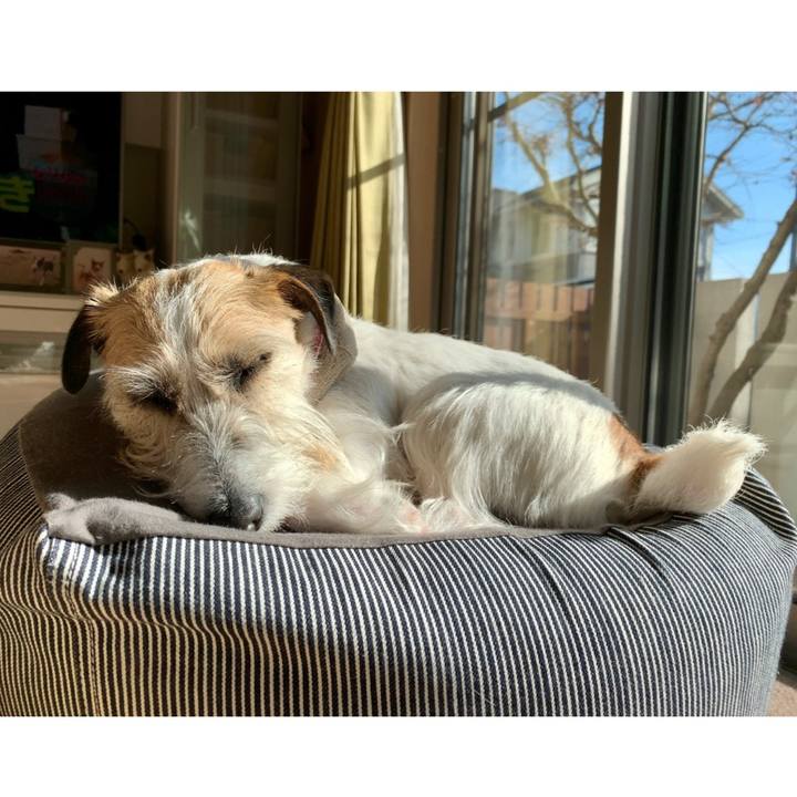 B46eff1b 2a42 4377 a6fa cc3de3e6ec51 1674384792450