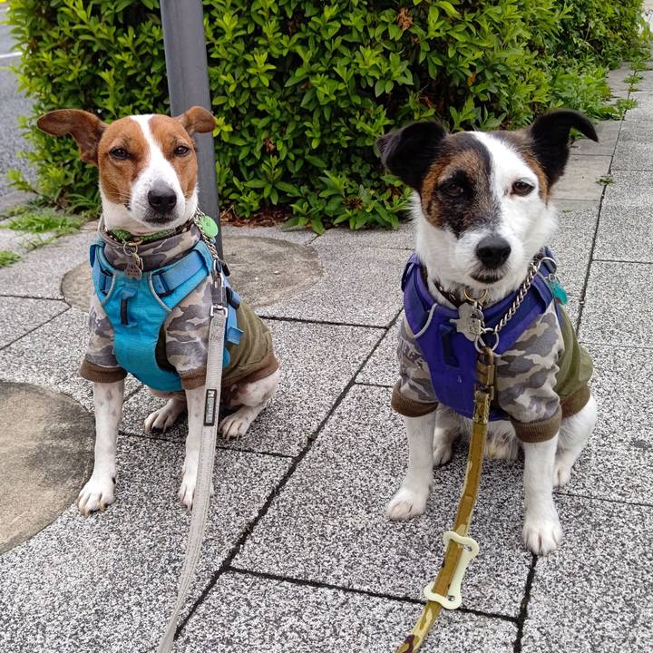 B46f3cb1 78fe 4ddc aeae 6a12f2a5001b 1654641784782