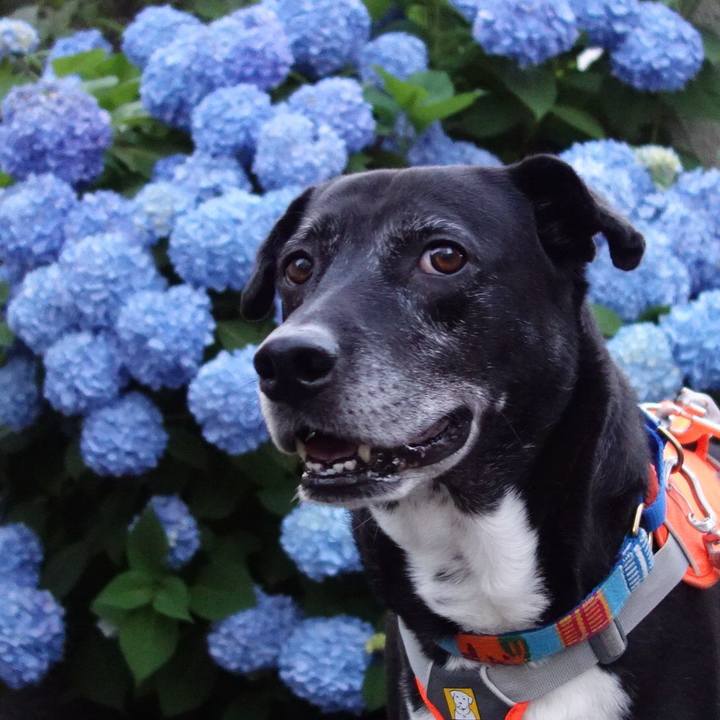 B46f43e6 edfe 4a22 99b7 45c2cf12b2aa 1749121631588