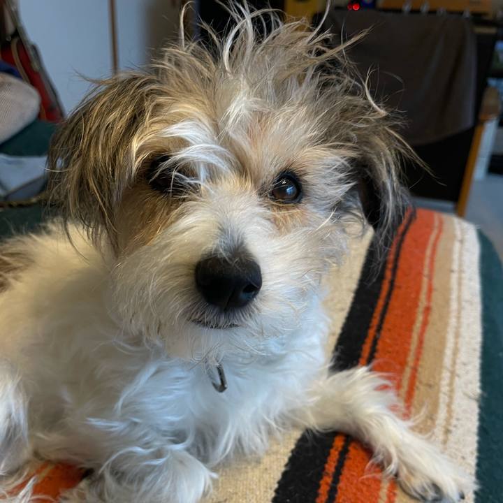 B46f5fa9 02f1 4978 8b9d 51bbd9a6750c 1774531363597