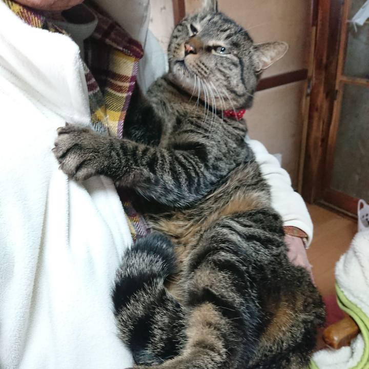 B46f60fa 2d3c 408f 8bff 1aee5a1a649e 1640918101828