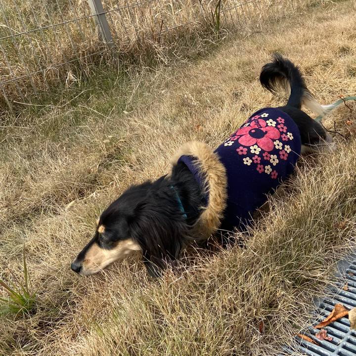 B46f6118 3de9 47d5 98c7 afe639a3dbde 1734064484958