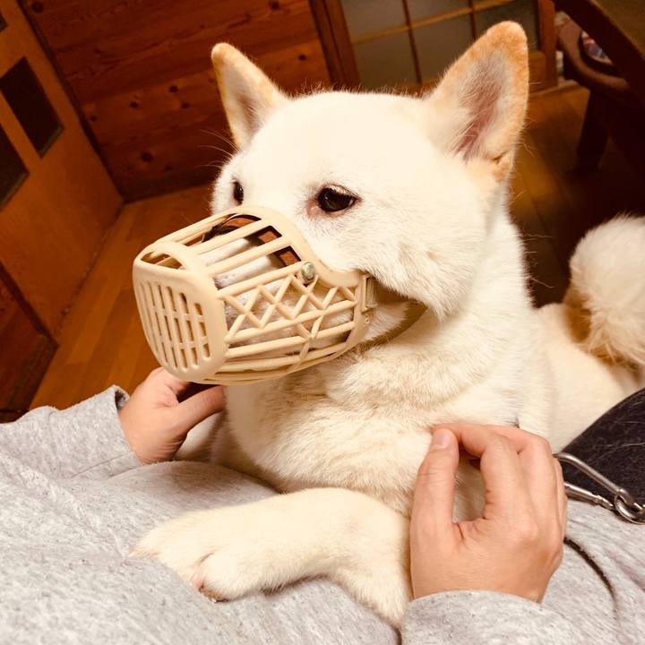 B46f70d9 258a 4fc3 958e 9af2ffad4add 1572136070244