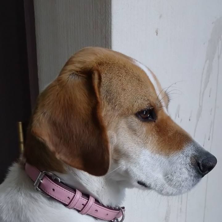 B46f7f55 6d45 4fac be67 a84d7195a7fd 1582031417642