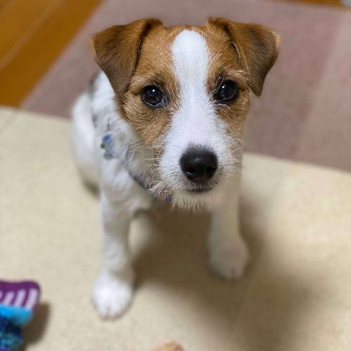 B46fab22 089c 4638 b58f ba9f1339edb8 1625952109129