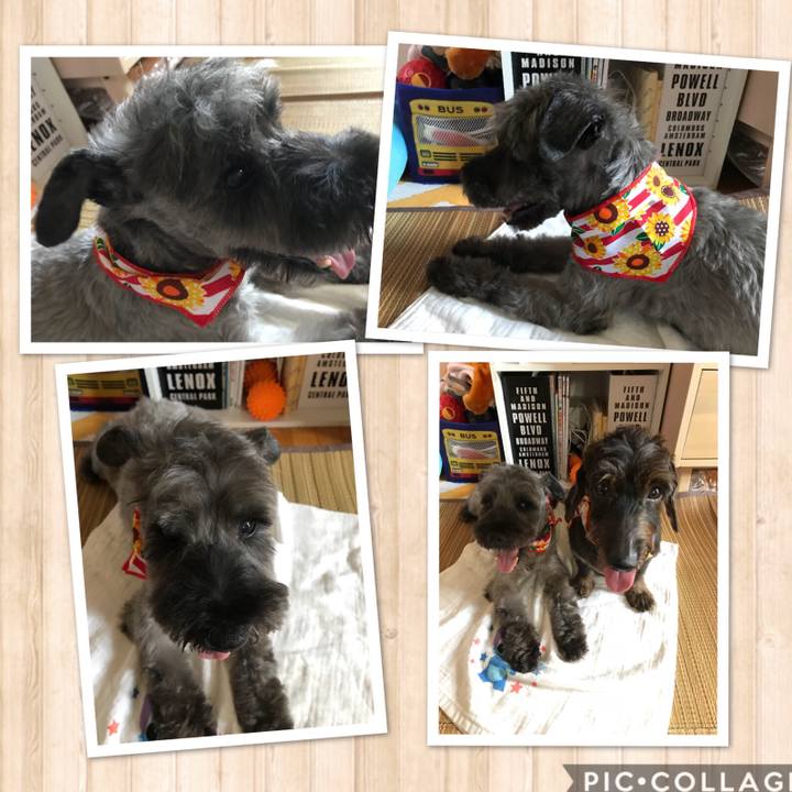 B46fb239 cc4d 4d2a abd4 ba8b9f1205ed 1533369135116