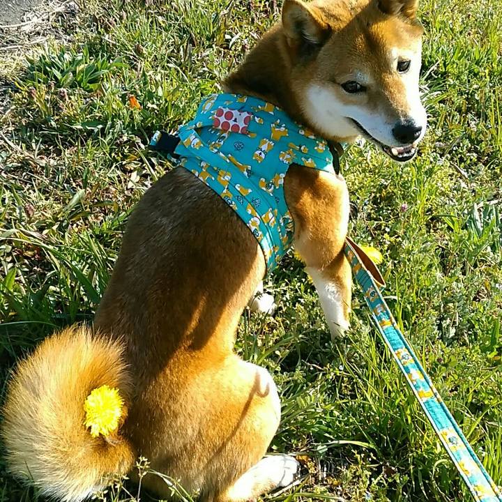 B46fcf37 bec4 46a6 876f 0d887aa343bd 1554363331875