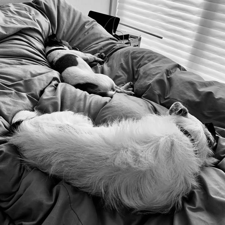 B46fdbb6 08ab 4eff 9312 c984a71340c1 1566958185219