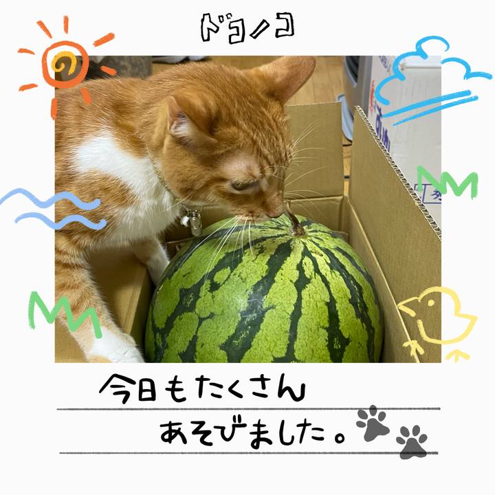 B46ffe0d af13 4ce2 a076 17e47d877ade 1755515569055