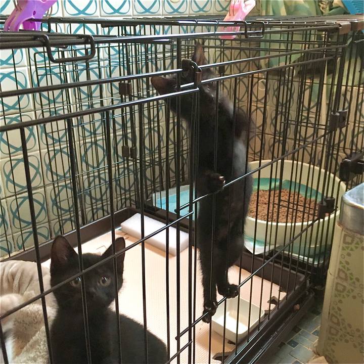 B470054e 1a59 4850 a4db 45a7fc976594 1625357849154