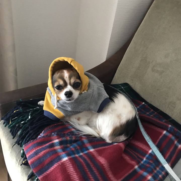 B47032f3 ba9a 4b53 bb47 404cd2688b12 1550761323470