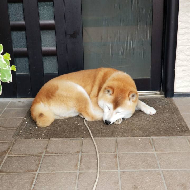 B4704be4 029a 4fa4 8223 6ca2f3556808 1653968432892