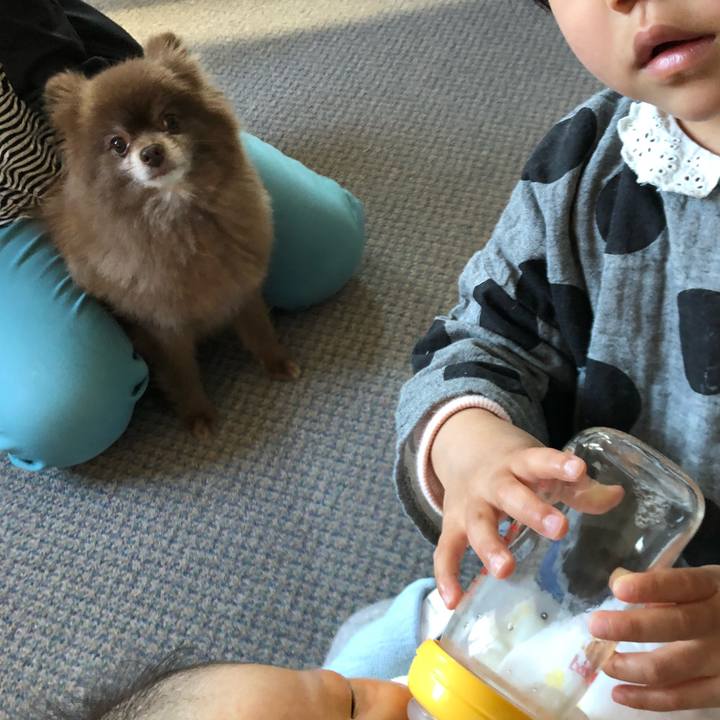 B4708ee3 c90a 4c73 b75f 5e38aebd644f 1557713510972