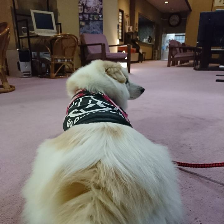 B470c396 a717 4382 b1aa a08aa4f24c5d 1508930652620