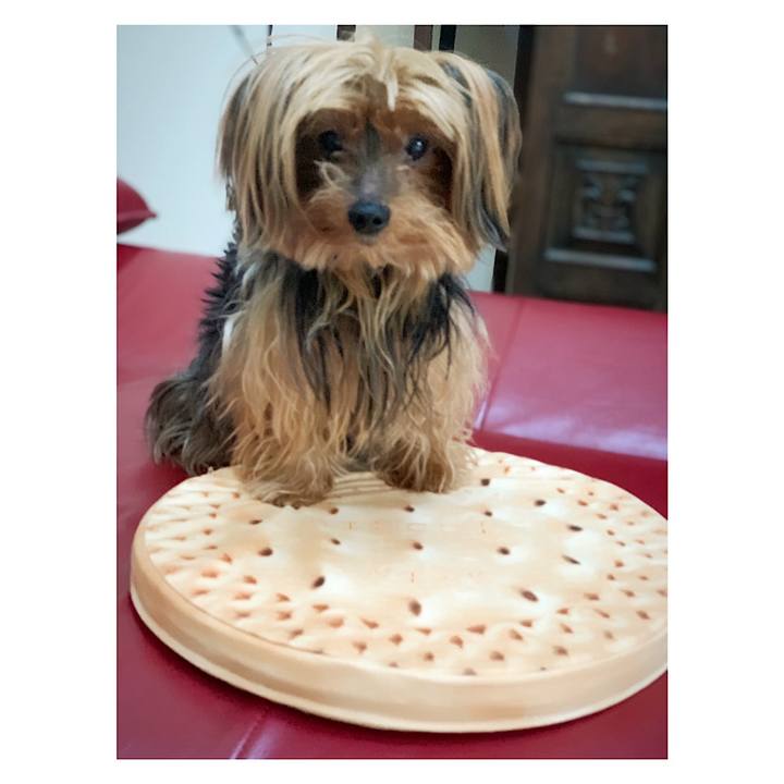 B470d245 1201 4e44 88ea 9b0bbdf6887b 1549580396666