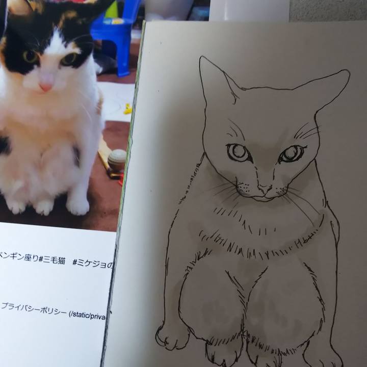 B470f2ca c759 485f b5fe d2d4cc5f2ff2 1581815774016