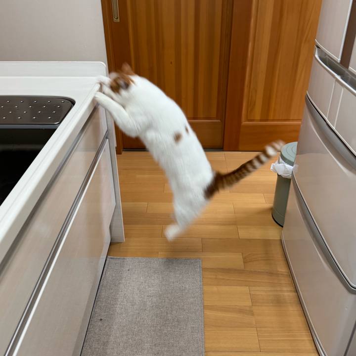 B47123e3 6cdb 40a1 a139 163de070f9ca 1766287203060