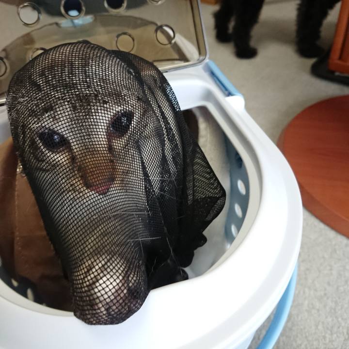 B4713bd5 eb70 46f1 8a98 aa718ab037cf 1559355786548