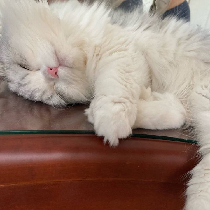 B4713d14 693b 496f 8077 96341248f04d 1630155083151