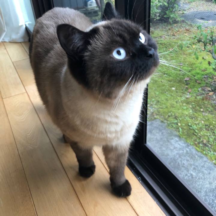 B4714d8e 4bf1 482e 9d94 9cfac628f0e9 1621034370328