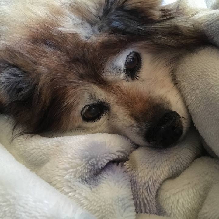 B471512e 952d 4760 a567 fb200b84bddd 1581564552274