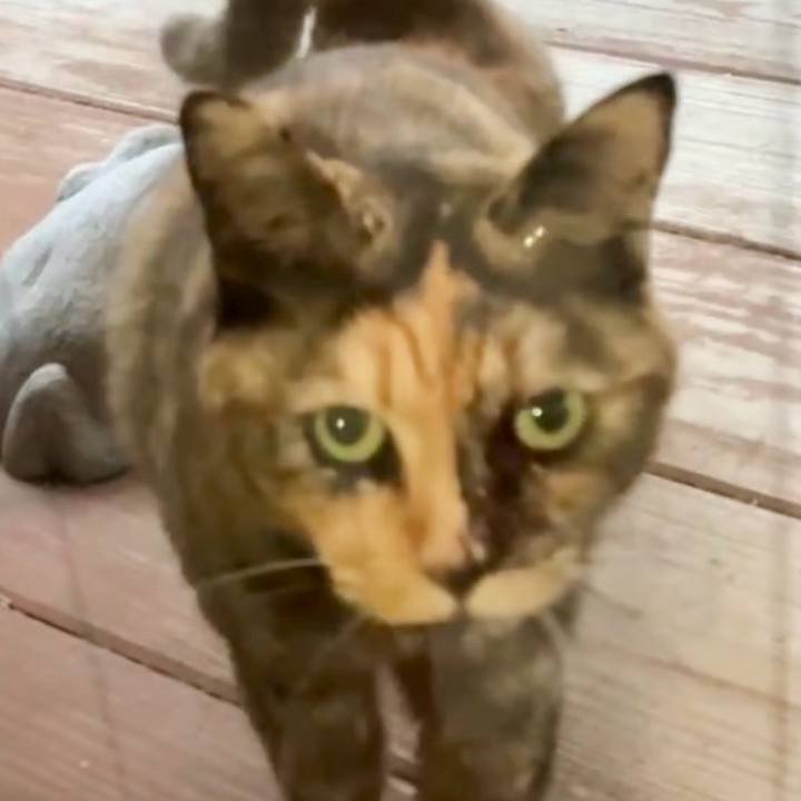 B471963f 9d3b 4495 a5a2 42f2bd4de49f 1730021613507