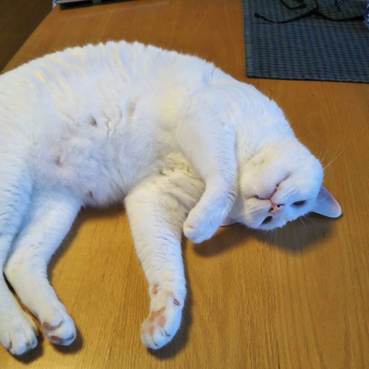 B471a7b1 2d11 47b6 8fd3 42c8721dd73c 1565056859511