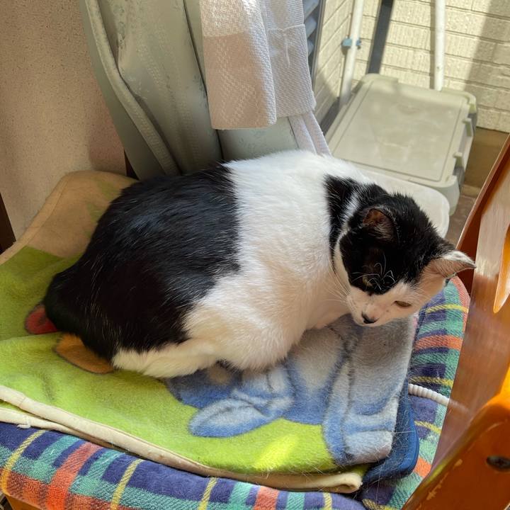 B471c757 639a 44b2 85bc 8e6c02250fb1 1763348158177