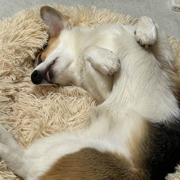 B471d4e6 64a7 47f9 86cf 35d9b4a6c1c3 1764330319113