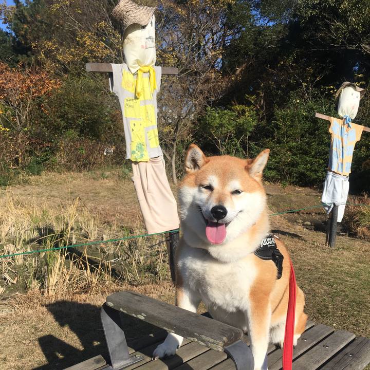 B471d561 61c5 4c1e b2b3 769c46c3a40f 1607910615871