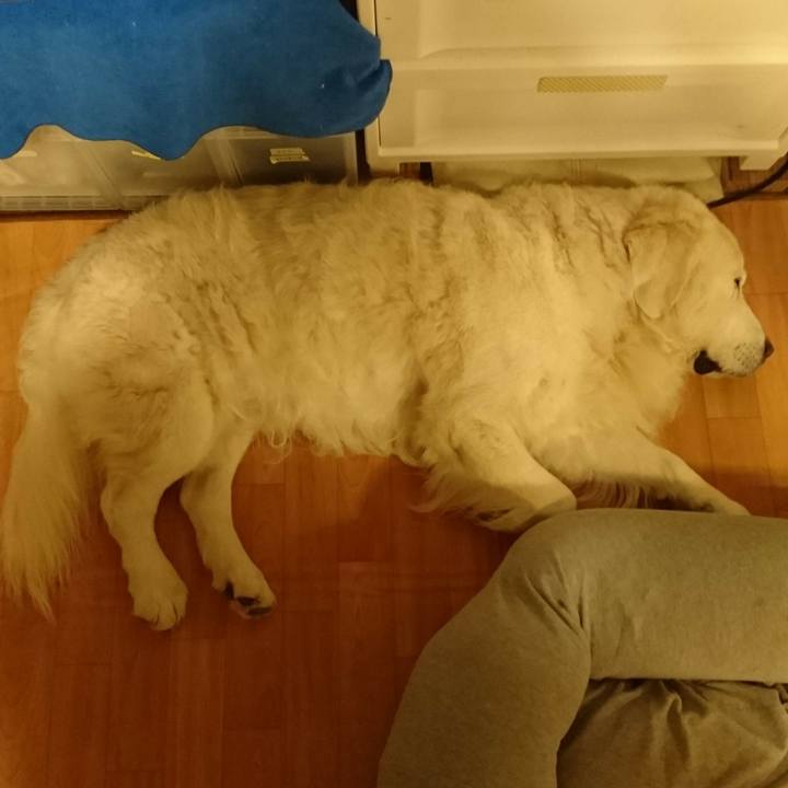 B471f65b 8c43 450e a111 6faa18dac23f 1541076732686