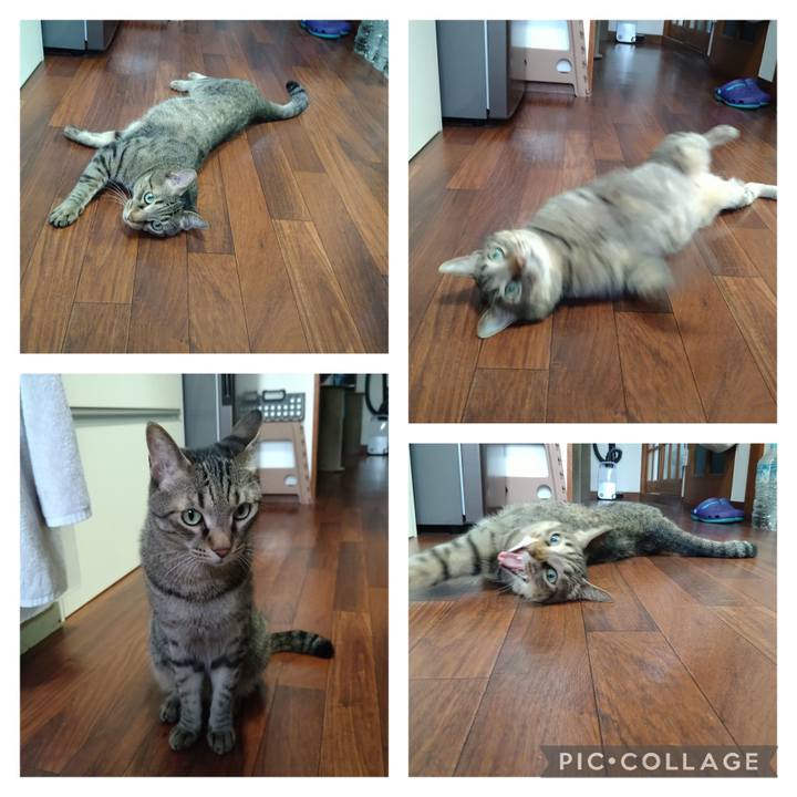 B47211fa 86be 4ec6 b11d f1ea4bc8adee 1690796290098