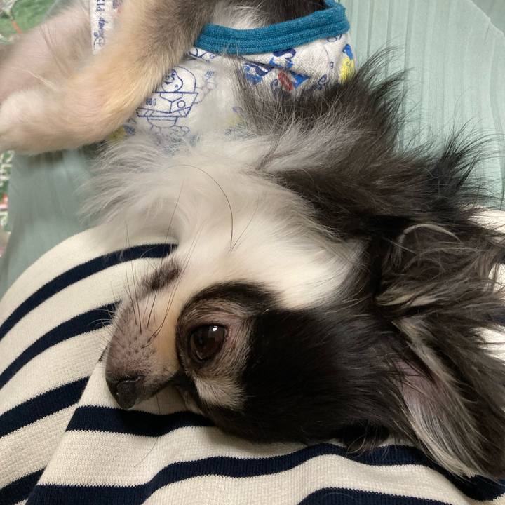 B47218fb 33c8 402e 8ed9 08ffe48d27e0 1651758357799