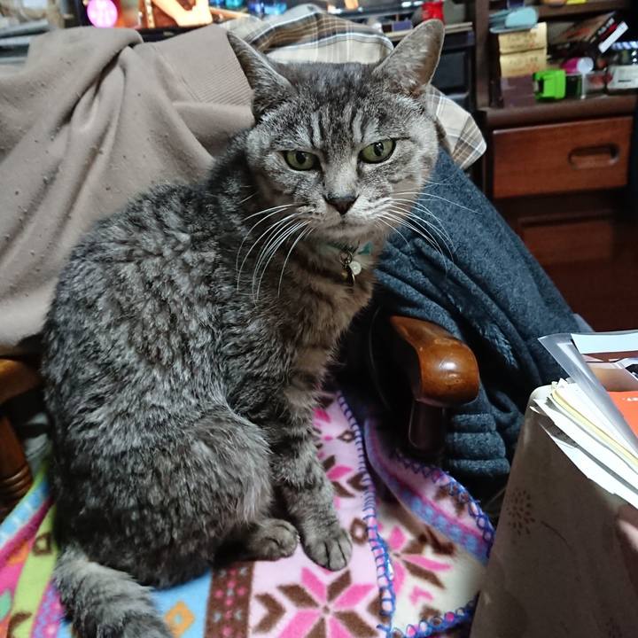 B4721a78 babc 490a ba85 7618f8b2fe46 1575237618917