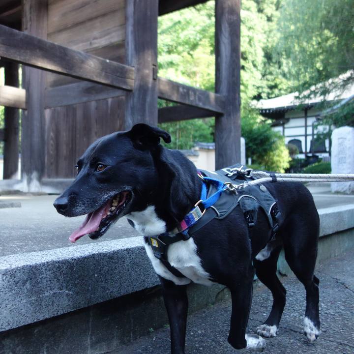 B47277b0 2eda 4146 834f ff719bc6c8e0 1656459022026