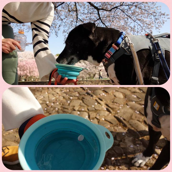 B47280ae c769 4924 9523 7829d9836157 1744158339043