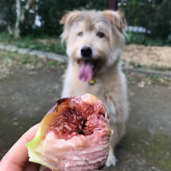 B4728e88 4b48 4e17 adc3 798d5b23e69b 1570437828795